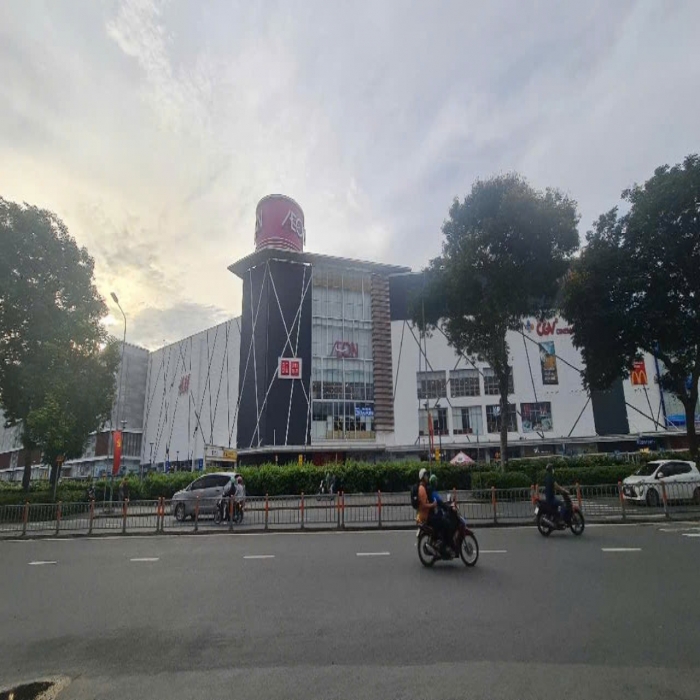 TÂN KỲ TÂN QUÝ, 5x24m, MẶT LỘ AEON TÂN PHÚ, 13 TỶ NHỈNH - 2