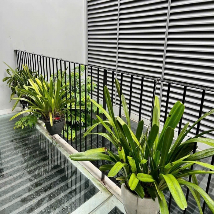 Đã bán--- 25.5 còn 18.5 tỷ, BÁN NHÀ MẶT TIỀN, 8.3x28m, NỞ HẬU, 4 TẦNG, NGUYỄN HỮU TIẾN, TÂN PHÚ - 8